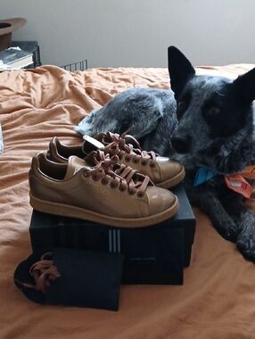 Adidas Bronze Raf Simons Sneakers